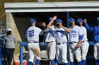 Baseball vs WPI  Wheaton College baseball vs Worcester Polytechnic Institute. - (Photo by Keith Nordstrom) : Wheaton, baseball